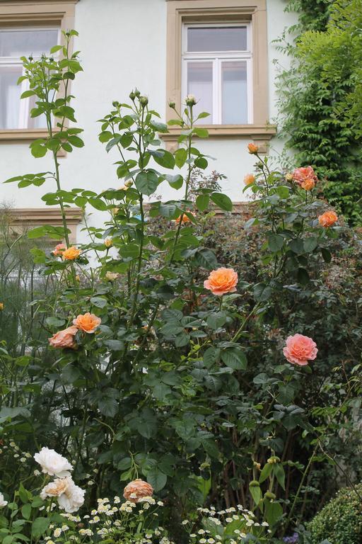 Maison Mille Fleurs Sankt Julian Exterior photo
